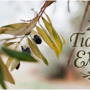 Η Γιορτή Ελιάς επιστρέφει για 2η χρονιά στη Στυλίδα