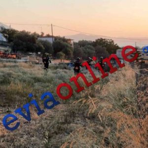 Πυρκαγιά στην Εύβοια καίει κοντά σε σπίτια