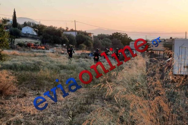 Πυρκαγιά στην Εύβοια καίει κοντά σε σπίτια