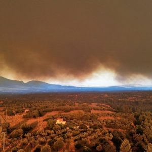Συγκλονιστικές εικόνες με drone από την καταστροφική πυρκαγιά σε Βοιωτία και Δυτική Αττική - ΒΙΝΤΕΟ