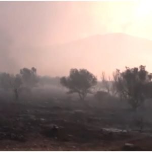 Πυρκαγιά στον Κουβαρά Αττικής: Μήνυμα του 112 για εκκένωση του Αγίου Στυλιανού προς Καλύβια – Διακοπή κυκλοφορίας στη Λεωφόρο Λαυρίου