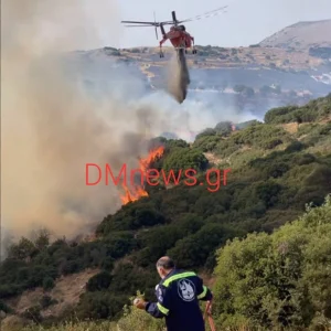 Πυρκαγιά  στο Στεφάνι Κορινθίας: Ενισχυθήκαν οι δυνάμεις, 11 εναέρια στη μάχη