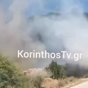 Μεγάλη φωτιά με ισχυρούς ανέμους στο Σκάλωμα Φωκίδας: Ήχησε 112 για εκκένωση 4 περιοχών «απομακρυνθείτε προς Ευπάλιο και Πευκάκι»