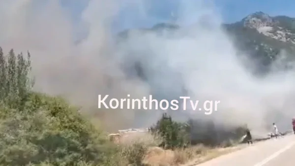 Μεγάλη φωτιά με ισχυρούς ανέμους στο Σκάλωμα Φωκίδας: Ήχησε 112 για εκκένωση 4 περιοχών «απομακρυνθείτε προς Ευπάλιο και Πευκάκι»