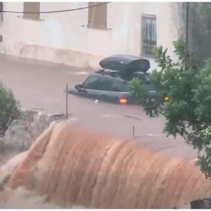 Μετρά τις πληγές της η Μάνη από το πρωτοφανές μπουρίνι, «έπεσε τόσο νερό όσο όλο τον χρόνο» (ΒΙΝΤΕΟ)