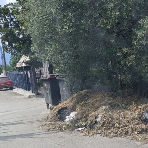 Με επιτυχία η γενική συνέλευση των μελών του Συλλόγου Μαρίνη Στυλίδας