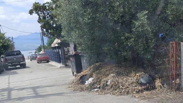 Με επιτυχία η γενική συνέλευση των μελών του Συλλόγου Μαρίνη Στυλίδας