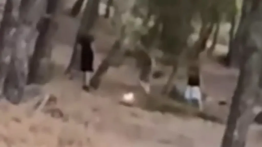 Εντοπίστηκαν οι 13χρονοι που έπαιζαν με τη φωτιά σε δάσος στην Πεντέλη για ένα challenge στα social media