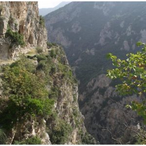 Ο Ε.Ο.Σ. Λαμίας διασχίζει το φαράγγι του Ασωπού