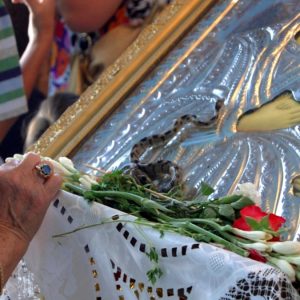 Βγήκαν τα «Φιδάκια της Παναγίας» και φέτος στην Κεφαλονιά, το σπάνιο φαινόμενο που συμβαίνει κάθε Δεκαπενταύγουστο