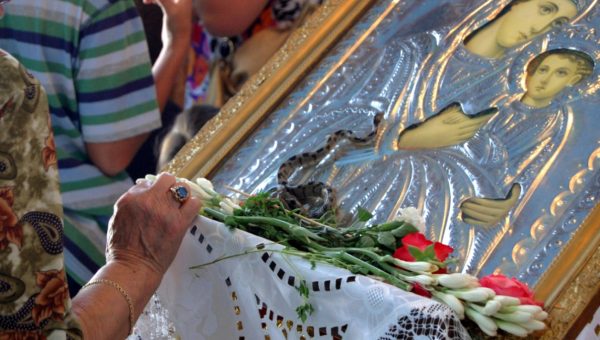 Βγήκαν τα «Φιδάκια της Παναγίας» και φέτος στην Κεφαλονιά, το σπάνιο φαινόμενο που συμβαίνει κάθε Δεκαπενταύγουστο