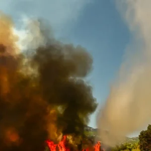 Πυρκαγιά στο Κορωπί – Ισχυρές δυνάμεις στο σημείο