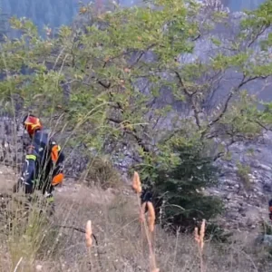 Πυρκαγιά στο Μεσολόγγι σε αγροτική έκταση στην περιοχή Λεύκα – Σηκώθηκαν και εναέρια