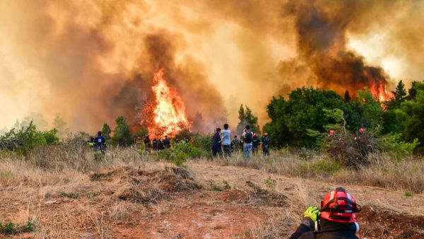 Κόλαση φωτιάς στη Δυτική Αττική: Συνεχίζεται η μάχη με τα ενεργά μέτωπα - Εκκενώνονται Αγία Σκέπη, Κανδήλι, Μπότσικα