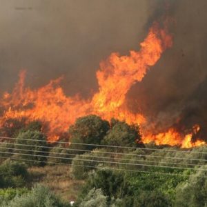 Φωτιά στη Σκύρο: Ισχυρές δυνάμεις της Πυροσβεστικής στο σημείο
