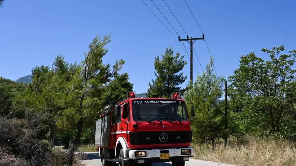 Πυρκαγιά στην Τουρτούγια Λάρισας - Καίει χαμηλή βλάστηση