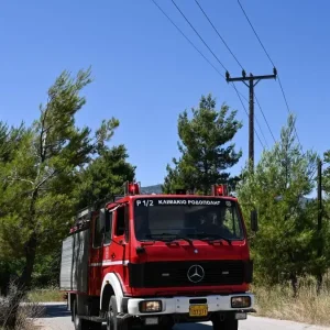 Πυρκαγιά στην Τουρτούγια Λάρισας - Καίει χαμηλή βλάστηση