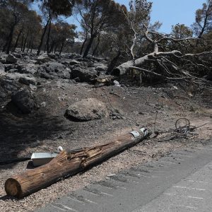 Η απώλεια του δάσους «εκτόξευσε» τη θερμοκρασία του εδάφους έως και 14°C στο Πόρτο Γερμενό