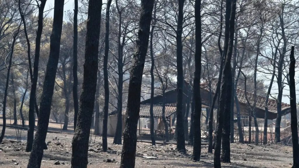 Αποκαρδιωτικές εικόνες αποκαλύπτουν το μέγεθος της καταστροφής από τη φωτιά στο Πόρτο Γερμενό