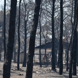 Αποκαρδιωτικές εικόνες αποκαλύπτουν το μέγεθος της καταστροφής από τη φωτιά στο Πόρτο Γερμενό
