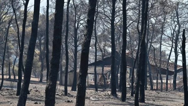 Αποκαρδιωτικές εικόνες αποκαλύπτουν το μέγεθος της καταστροφής από τη φωτιά στο Πόρτο Γερμενό