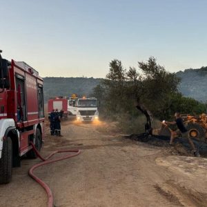 Αναλυτική ενημέρωση από την Περιφέρεια Στερεάς για  τις πυρκαγιές που εκδηλώθηκαν και στις 5 Περιφερειακές Ενότητες