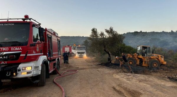 Αναλυτική ενημέρωση από την Περιφέρεια Στερεάς για  τις πυρκαγιές που εκδηλώθηκαν και στις 5 Περιφερειακές Ενότητες