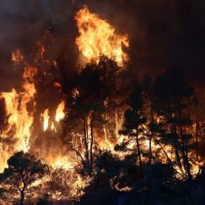 Πύρινος εφιάλτης δίχως τέλος: Μάχη για να μην μπει η φωτιά στον Άγιο Νεκτάριο και τα Βίλια στη Βοιωτία - ΒΙΝΤΕΟ