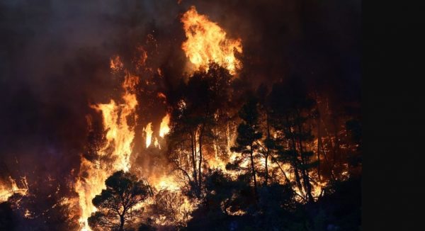 Πύρινος εφιάλτης δίχως τέλος: Μάχη για να μην μπει η φωτιά στον Άγιο Νεκτάριο και τα Βίλια στη Βοιωτία - ΒΙΝΤΕΟ