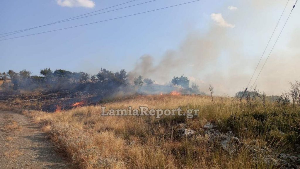 Ηλίας Σανίδας: «Ένα ακόμη δύσκολο 24ωρο για τη Φθιώτιδα σε κατάσταση κινητοποίησης»