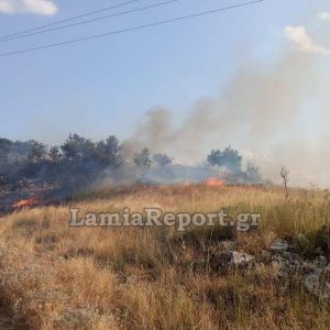 Ηλίας Σανίδας: «Ένα ακόμη δύσκολο 24ωρο για τη Φθιώτιδα σε κατάσταση κινητοποίησης»