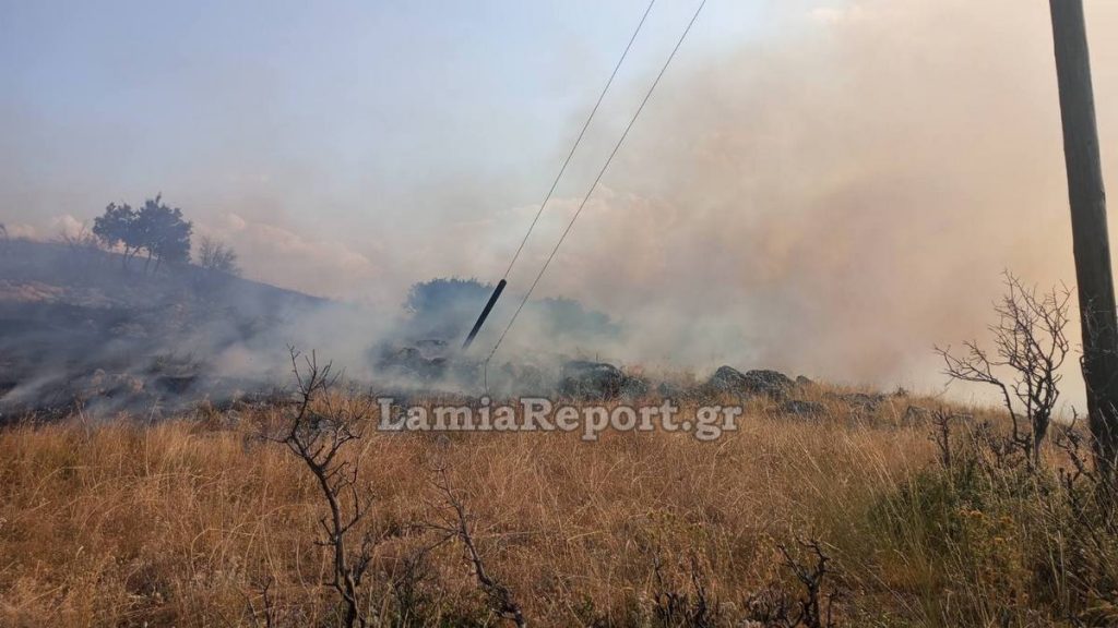 Χωρίς ενεργό μέτωπο η πυρκαγιά που ξέσπασε το μεσημέρι στη Μακρυκάπα Ευβοίας