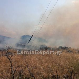 Χωρίς ενεργό μέτωπο η πυρκαγιά που ξέσπασε το μεσημέρι στη Μακρυκάπα Ευβοίας