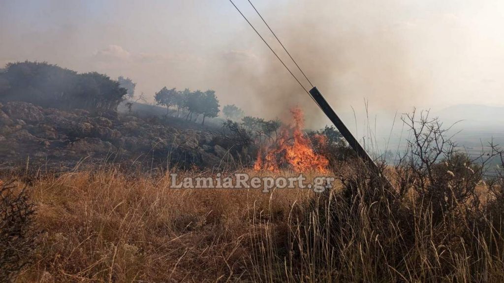 Μάχη με τις φλόγες στο Νέο Μοναστήρι - Από κολόνα ξεκίνησε η φωτιά (ΒΙΝΤΕΟ-ΦΩΤΟ)