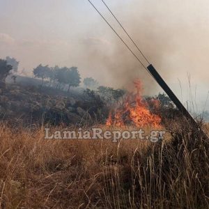 Μάχη με τις φλόγες στο Νέο Μοναστήρι - Από κολόνα ξεκίνησε η φωτιά (ΒΙΝΤΕΟ-ΦΩΤΟ)