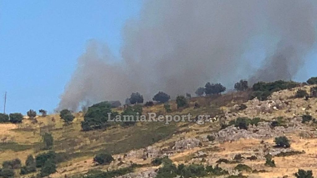 Πυρκαγιά σε δασική έκταση στην Καρδίτσα - Σηκώθηκε ελικόπτερο