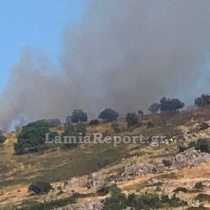 Πυρκαγιά σε δασική έκταση στην Καρδίτσα - Σηκώθηκε ελικόπτερο