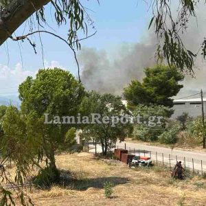 Πυρκαγιά κοντά σε κατοικημένη περιοχή στην Ελάτεια: Σηκώθηκαν αεροπλάνα - Ήχησε το 112
