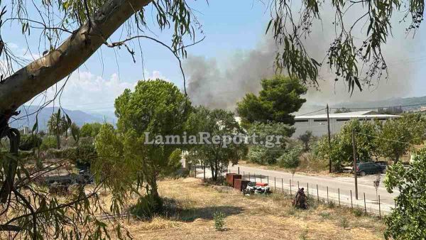 Πυρκαγιά κοντά σε κατοικημένη περιοχή στην Ελάτεια: Σηκώθηκαν αεροπλάνα - Ήχησε το 112