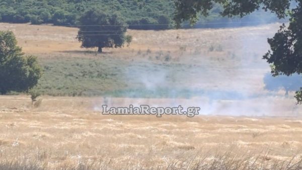 Σε πολύ υψηλό κίνδυνο για 7η συνεχή ημέρα η Εύβοια - Υψηλός κίνδυνος στη Φθιώτιδα