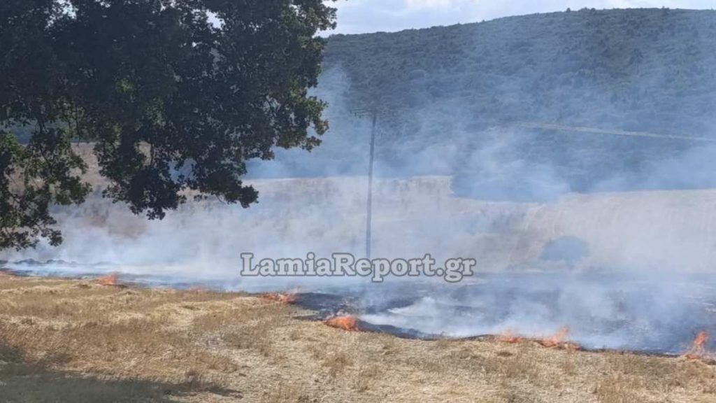 Από πουλί ξεκίνησε η πυρκαγιά στον Κυπαρισσώνα Πελασγίας (ΒΙΝΤΕΟ-ΦΩΤΟ)