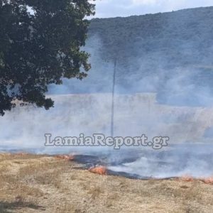 Από πουλί ξεκίνησε η πυρκαγιά στον Κυπαρισσώνα Πελασγίας (ΒΙΝΤΕΟ-ΦΩΤΟ)