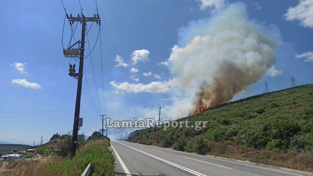 Έκτακτο: Επικίνδυνη πυρκαγιά στην Καμηλόβρυση - Πέρασε το δρόμο και καίει δασική έκταση