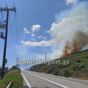 Έκτακτο: Επικίνδυνη πυρκαγιά στην Καμηλόβρυση - Πέρασε το δρόμο και καίει δασική έκταση