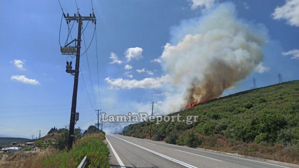 Έκτακτο: Επικίνδυνη πυρκαγιά στην Καμηλόβρυση - Πέρασε το δρόμο και καίει δασική έκταση