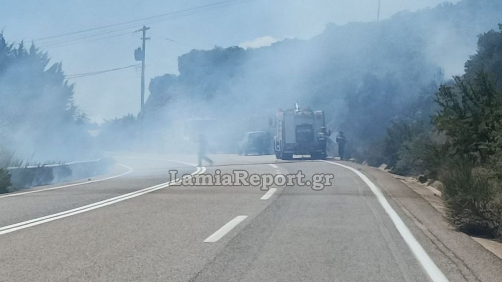 Ακραίος κίνδυνος σήμερα για εκδήλωση πυρκαγιάς σε Βοιωτία, Εύβοια - Πολύ υψηλός για Φθιώτιδα