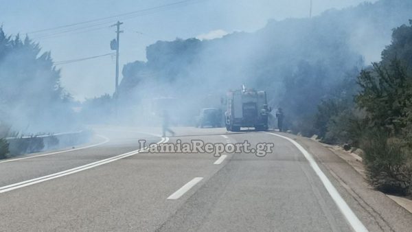 Ακραίος κίνδυνος σήμερα για εκδήλωση πυρκαγιάς σε Βοιωτία, Εύβοια - Πολύ υψηλός για Φθιώτιδα