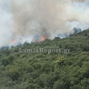 Πολύ υψηλός κίνδυνος πυρκαγιάς στη Φθιώτιδα από αύριο Δευτέρα