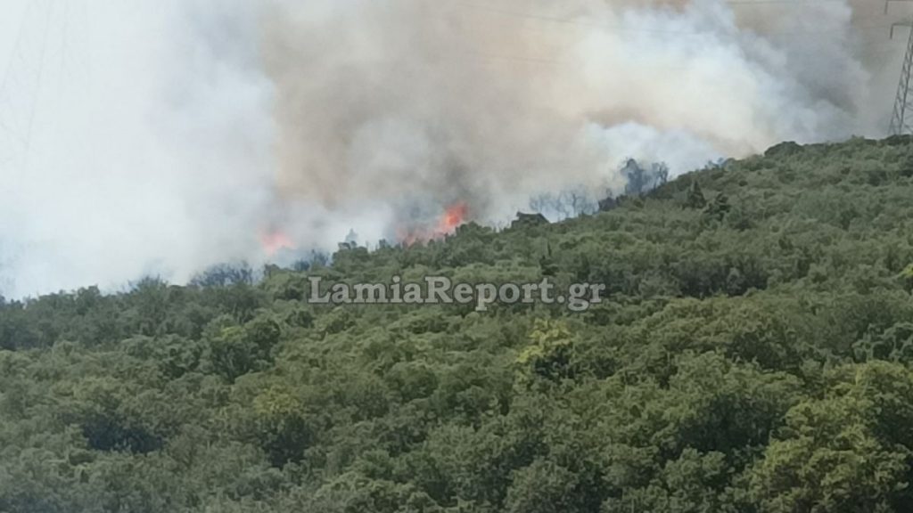 Έκτακτο δελτίο από την ΠΕ Φθιώτιδας για πολύ υψηλό κίνδυνο πυρκαγιάς την Κυριακή
