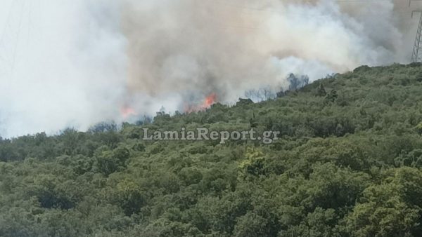Έκτακτο δελτίο από την ΠΕ Φθιώτιδας για πολύ υψηλό κίνδυνο πυρκαγιάς την Κυριακή